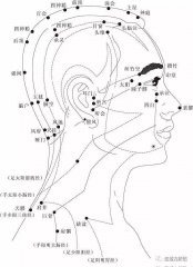 经常按摩这七个穴位，补气血